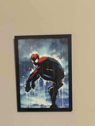 Quadretto spider man - spider-man, –