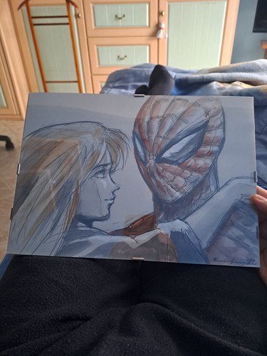 Quadro spiderman romics
